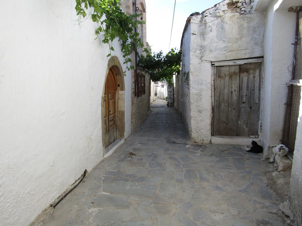 Theanos House Pigi (Crete) Exterior foto