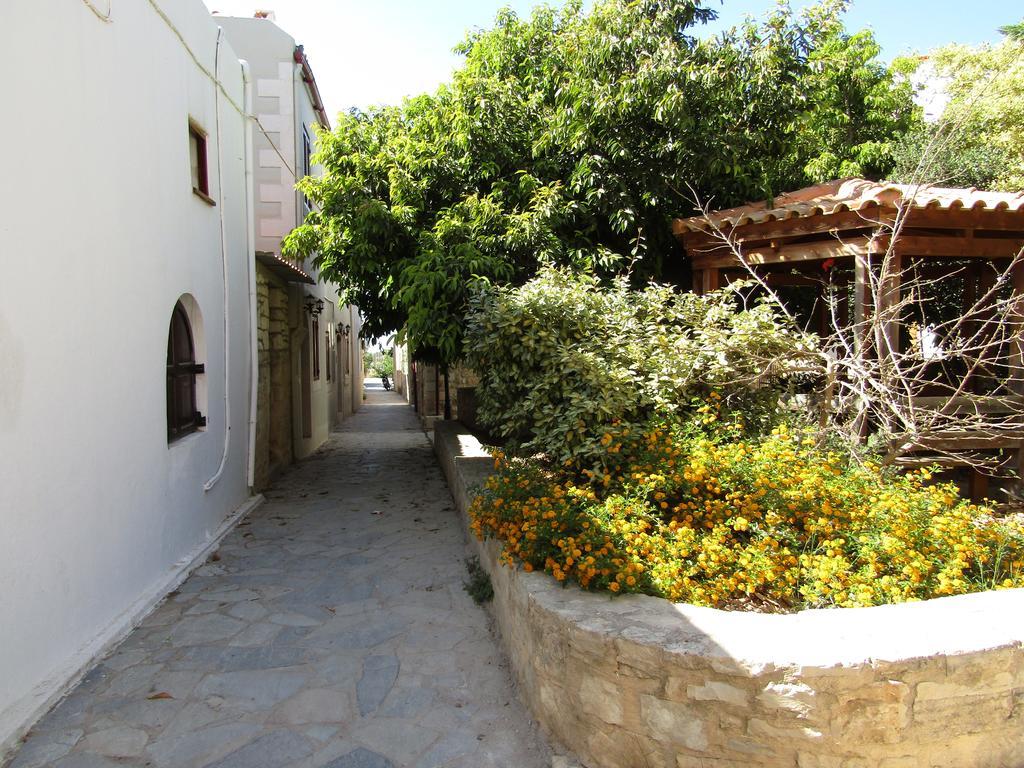Theanos House Pigi (Crete) Exterior foto